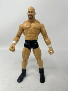 WWE Wrestlemania XX: Stone Cold Steve Austin