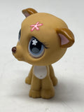 Littlest Pet Shop “Greyhound (Tan)” #498