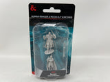 Human Ranger and Moon Elf Sorcerer D&D Nolzur's Marvelous Miniatures