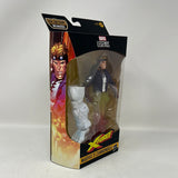 Marvel Legends Series: Cannonball