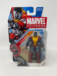 Marvel Universe Colossus