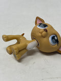 Littlest Pet Shop “Greyhound (Tan)” #498