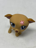 Littlest Pet Shop “Greyhound (Tan)” #498