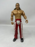 WWE Shawn Michaels
