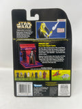 Star Wars Expanded Universe: Princess Leia (From Dark Empire Comics)