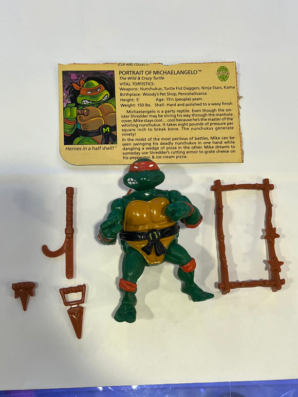 Teenage Mutant Ninja Turtles (TMNT) 1988: Michelangelo #031718
